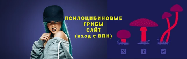 ALPHA PVP Заводоуковск