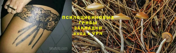гашик Заволжье