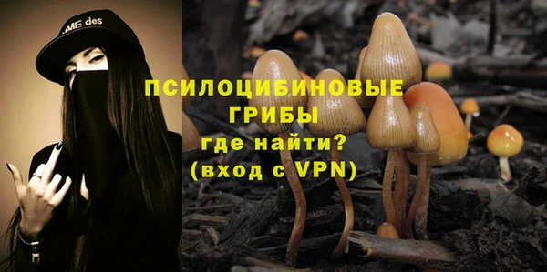 гашик Заволжье