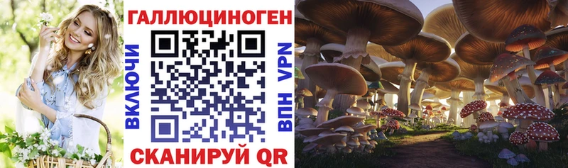 Купить закладки  Волчанск  Галлюциногенные грибы мицелий 
